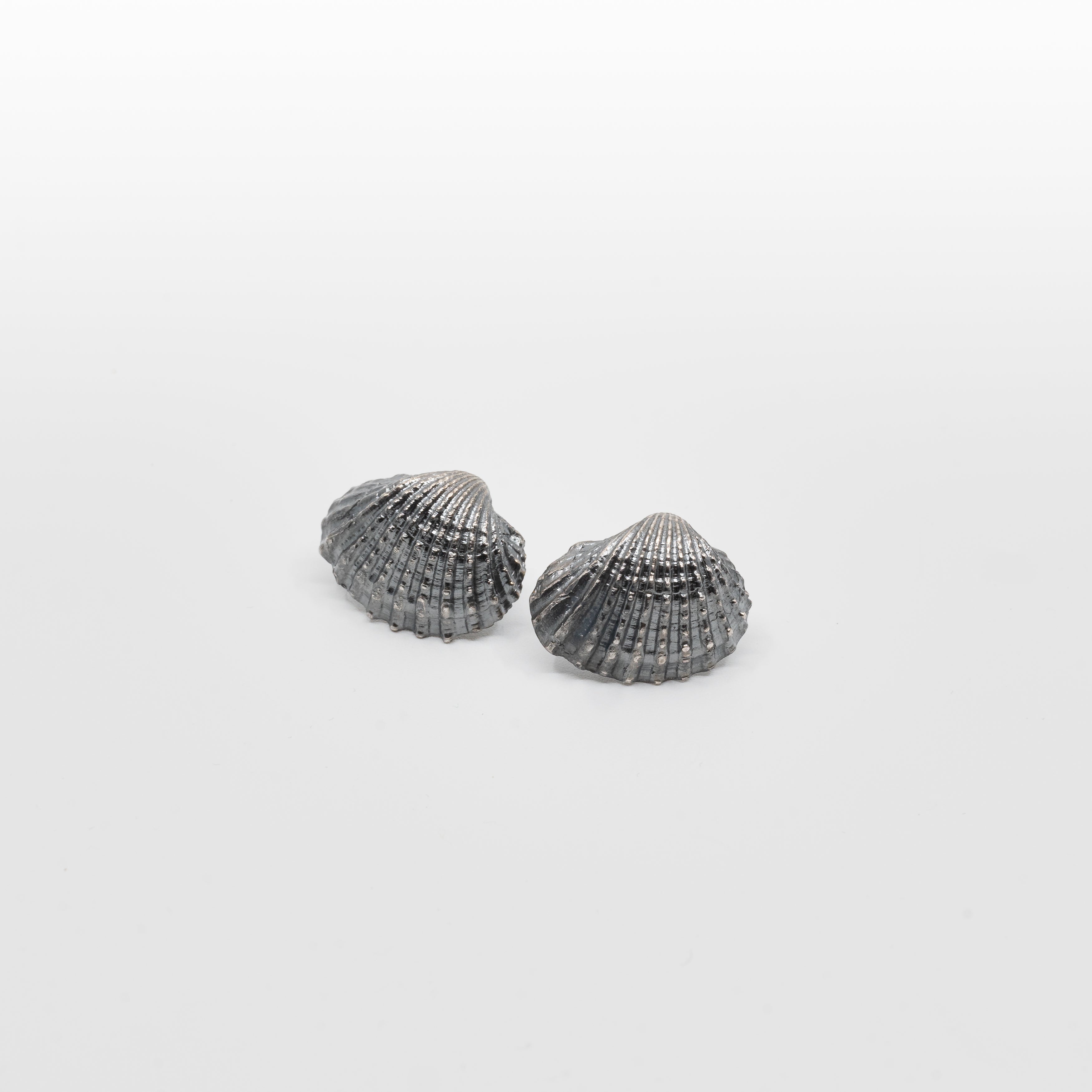 Havets Mussla örhängen - oxiderat  äkta silver