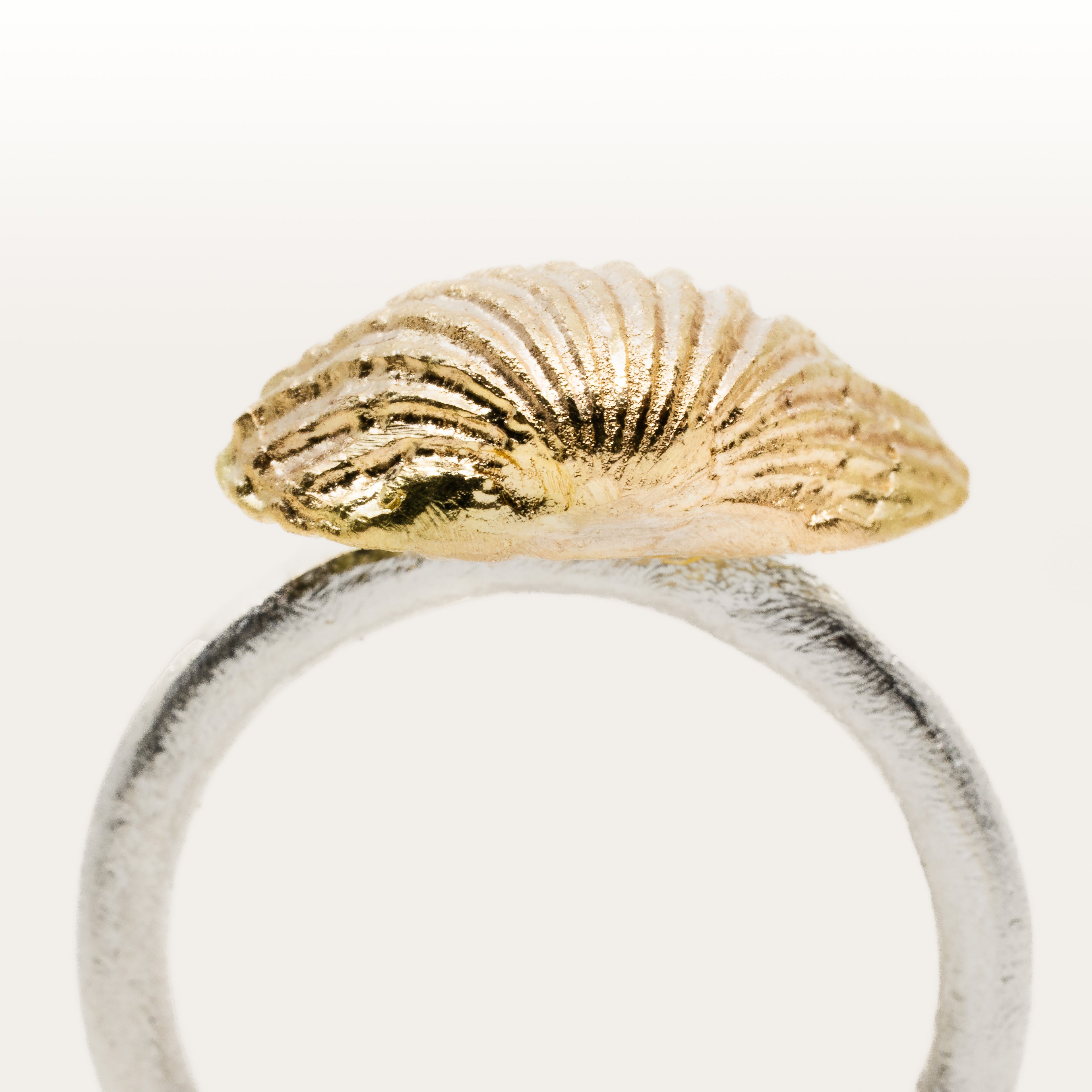 Havets mussla - Ring i äkta silver / 18k guld