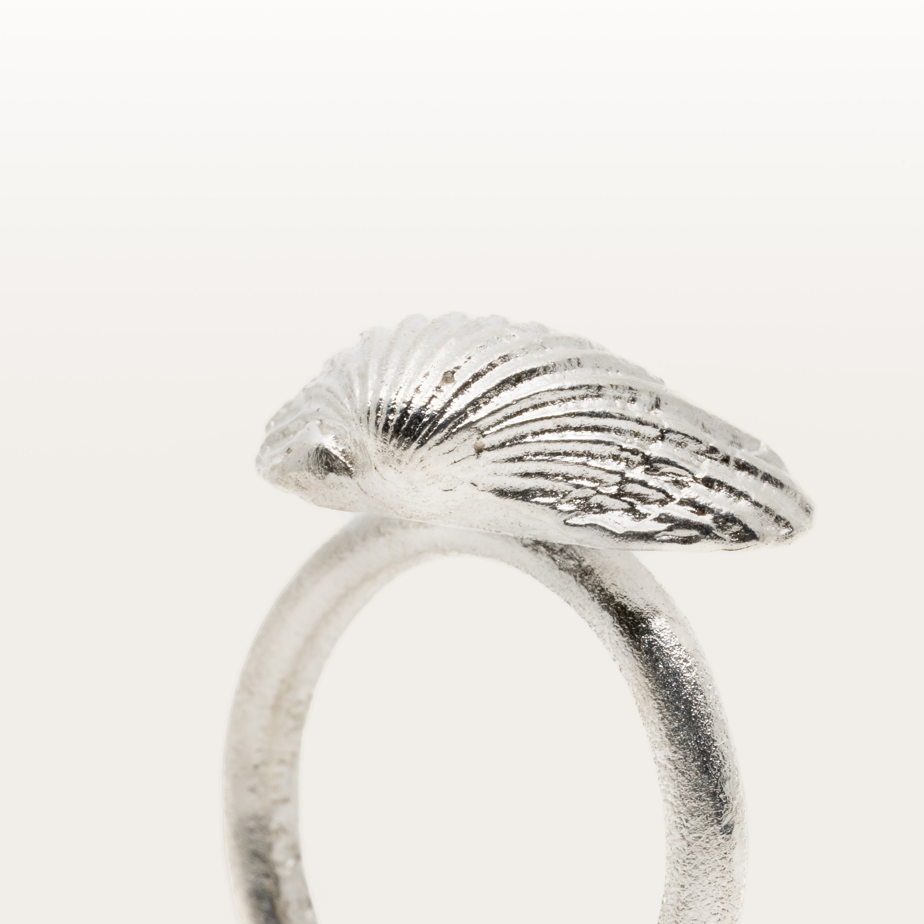 Havets Mussla - Ring i äkta silver