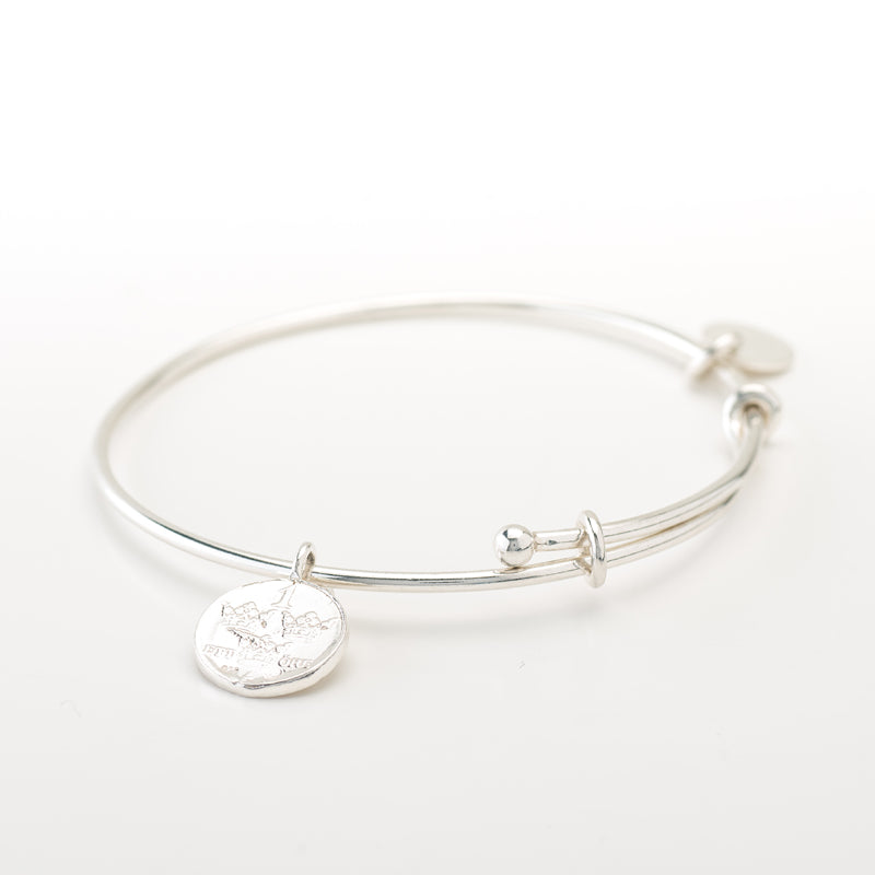 Clean coin bangle